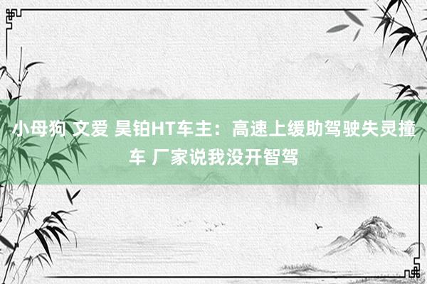 小母狗 文爱 昊铂HT车主：高速上缓助驾驶失灵撞车 厂家说我没开智驾