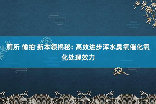 厕所 偷拍 新本领揭秘: 高效进步浑水臭氧催化氧化处理效力