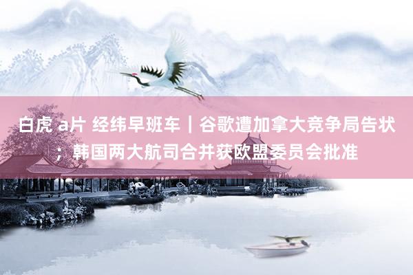 白虎 a片 经纬早班车｜谷歌遭加拿大竞争局告状；韩国两大航司合并获欧盟委员会批准