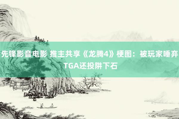 先锋影音电影 推主共享《龙腾4》梗图：被玩家唾弃 TGA还投阱下石