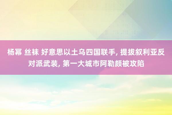 杨幂 丝袜 好意思以土乌四国联手， 提拔叙利亚反对派武装， 第一大城市阿勒颇被攻陷