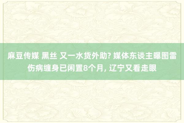 麻豆传媒 黑丝 又一水货外助? 媒体东谈主曝图雷伤病缠身已闲置8个月， 辽宁又看走眼