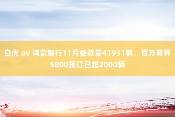 白虎 av 鸿蒙智行11月委派量41931辆，百万尊界S800预订已超2000辆
