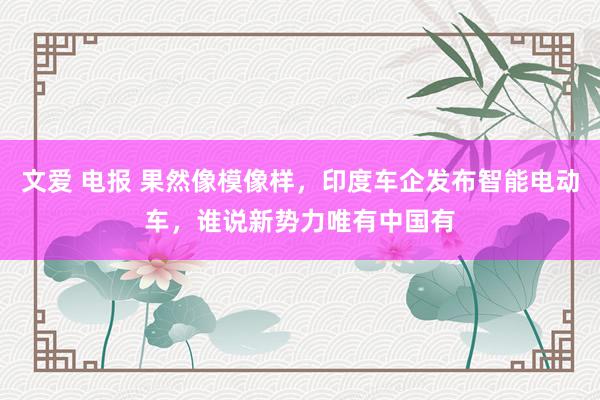 文爱 电报 果然像模像样，印度车企发布智能电动车，谁说新势力唯有中国有