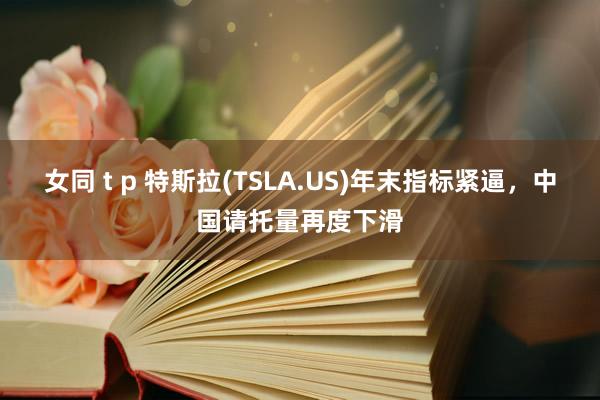 女同 t p 特斯拉(TSLA.US)年末指标紧逼，中国请托量再度下滑