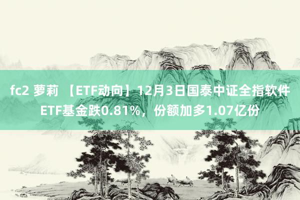 fc2 萝莉 【ETF动向】12月3日国泰中证全指软件ETF基金跌0.81%，份额加多1.07亿份