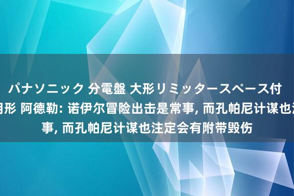 パナソニック 分電盤 大形リミッタースペース付 露出・半埋込両用形 阿德勒: 诺伊尔冒险出击是常事， 而孔帕尼计谋也注定会有附带毁伤