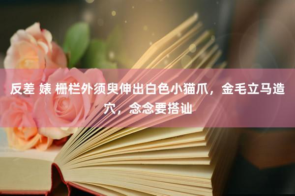 反差 婊 栅栏外须臾伸出白色小猫爪，金毛立马造穴，念念要搭讪