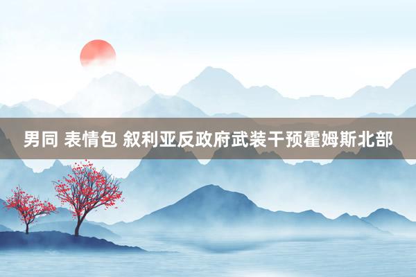男同 表情包 叙利亚反政府武装干预霍姆斯北部