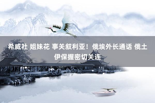 希威社 姐妹花 事关叙利亚！俄埃外长通话 俄土伊保握密切关连