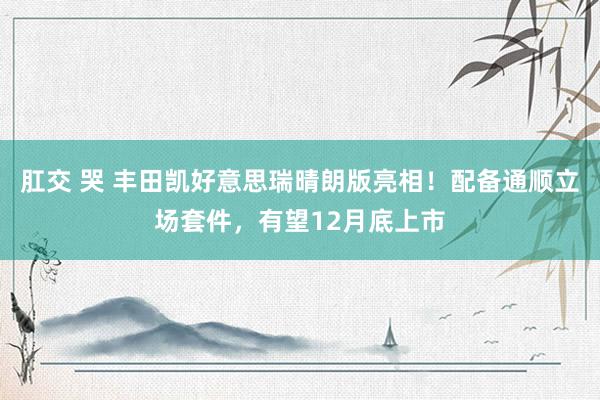 肛交 哭 丰田凯好意思瑞晴朗版亮相！配备通顺立场套件，有望12月底上市