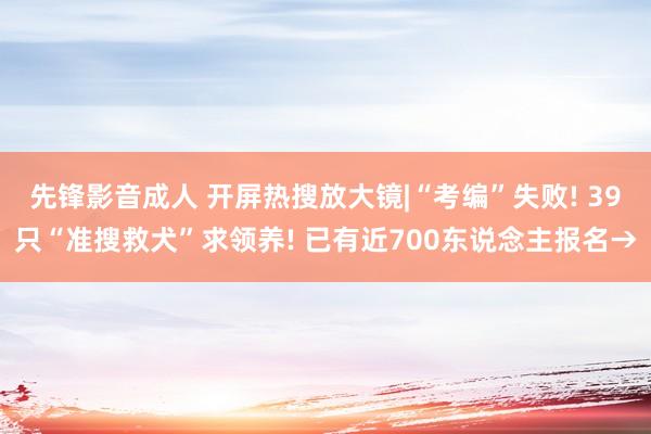 先锋影音成人 开屏热搜放大镜|“考编”失败! 39只“准搜救犬”求领养! 已有近700东说念主报名→