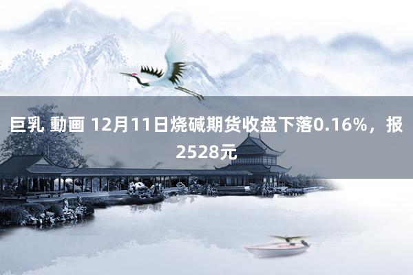 巨乳 動画 12月11日烧碱期货收盘下落0.16%，报2528元
