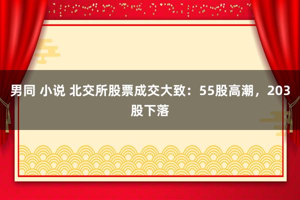 男同 小说 北交所股票成交大致：55股高潮，203股下落