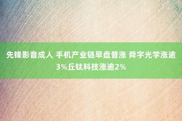 先锋影音成人 手机产业链早盘普涨 舜宇光学涨逾3%丘钛科技涨逾2%
