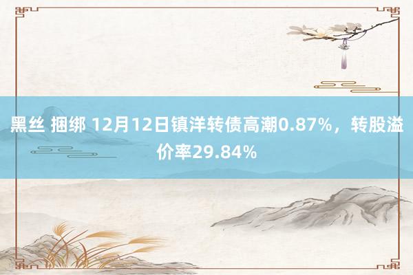 黑丝 捆绑 12月12日镇洋转债高潮0.87%，转股溢价率29.84%