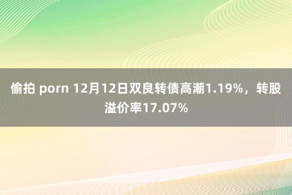 偷拍 porn 12月12日双良转债高潮1.19%，转股溢价率17.07%