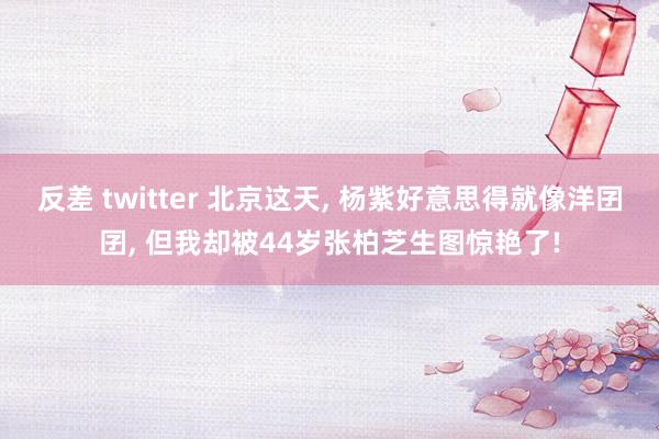 反差 twitter 北京这天， 杨紫好意思得就像洋囝囝， 但我却被44岁张柏芝生图惊艳了!