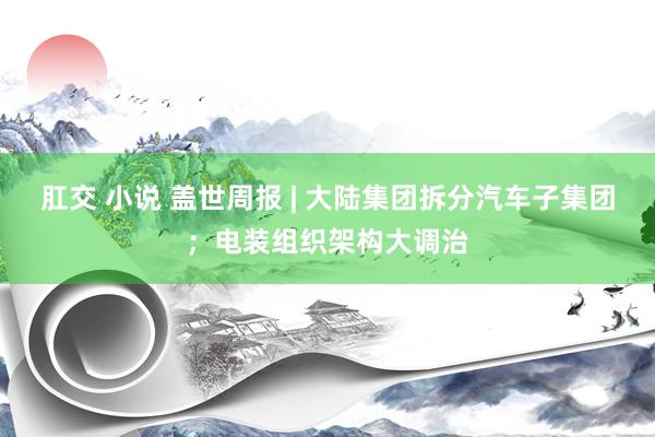 肛交 小说 盖世周报 | 大陆集团拆分汽车子集团；电装组织架构大调治