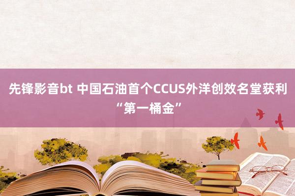 先锋影音bt 中国石油首个CCUS外洋创效名堂获利“第一桶金”