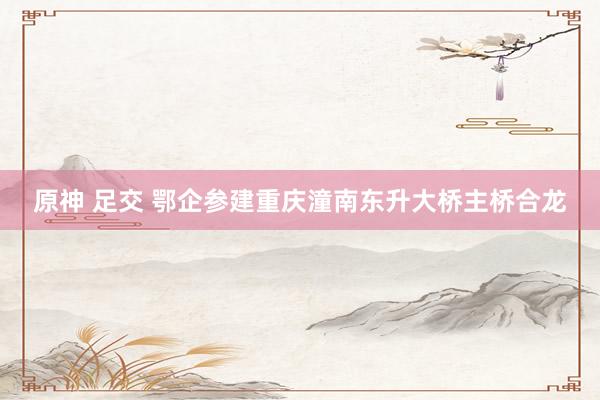 原神 足交 鄂企参建重庆潼南东升大桥主桥合龙