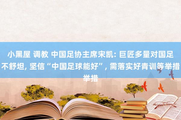 小黑屋 调教 中国足协主席宋凯: 巨匠多量对国足不舒坦， 坚信“中国足球能好”， 需落实好青训等举措
