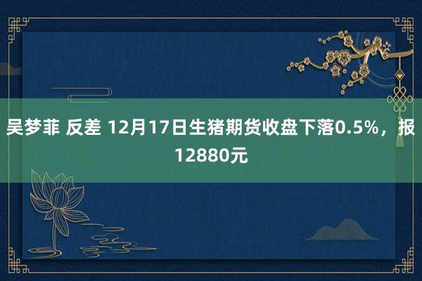 吴梦菲 反差 12月17日生猪期货收盘下落0.5%，报12880元
