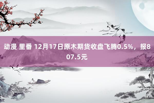 动漫 里番 12月17日原木期货收盘飞腾0.5%，报807.5元