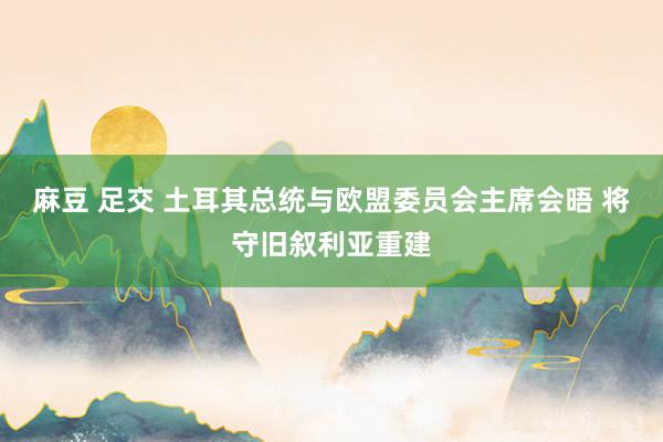 麻豆 足交 土耳其总统与欧盟委员会主席会晤 将守旧叙利亚重建