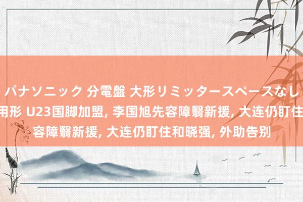 パナソニック 分電盤 大形リミッタースペースなし 露出・半埋込両用形 U23国脚加盟， 李国旭先容障翳新援， 大连仍盯住和晓强， 外助告别
