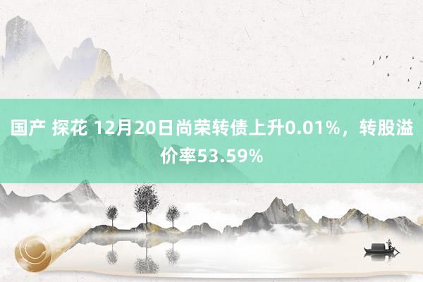 国产 探花 12月20日尚荣转债上升0.01%，转股溢价率53.59%
