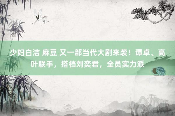 少妇白洁 麻豆 又一部当代大剧来袭！谭卓、高叶联手，搭档刘奕君，全员实力派
