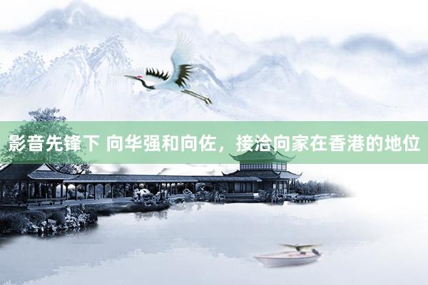影音先锋下 向华强和向佐，接洽向家在香港的地位