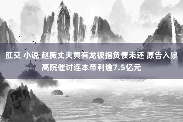 肛交 小说 赵薇丈夫黄有龙被指负债未还 原告入禀高院催讨连本带利逾7.5亿元