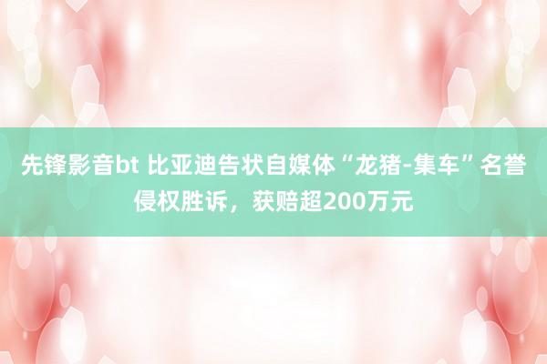 先锋影音bt 比亚迪告状自媒体“龙猪-集车”名誉侵权胜诉，获赔超200万元