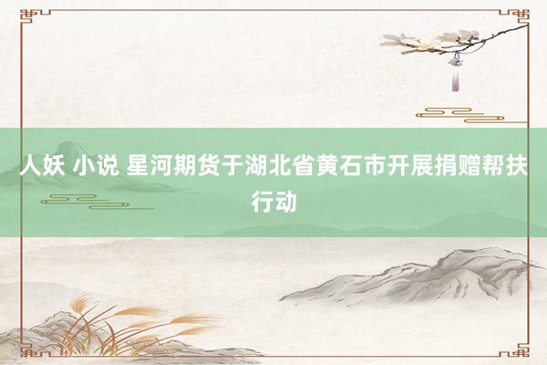 人妖 小说 星河期货于湖北省黄石市开展捐赠帮扶行动