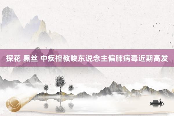 探花 黑丝 中疾控教唆东说念主偏肺病毒近期高发