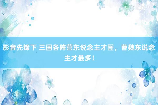 影音先锋下 三国各阵营东说念主才图，曹魏东说念主才最多！