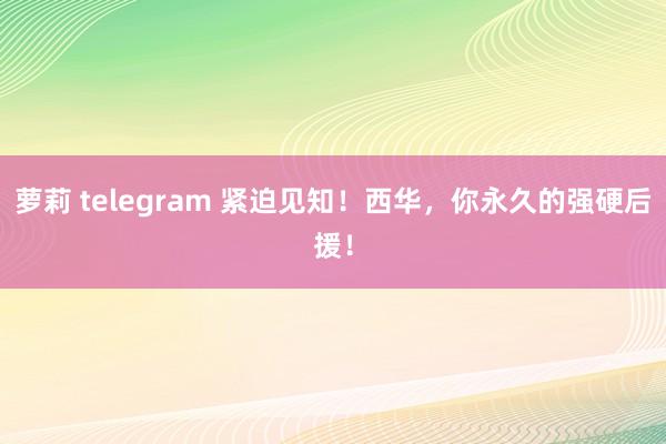 萝莉 telegram 紧迫见知！西华，你永久的强硬后援！