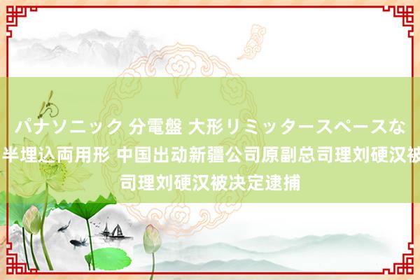 パナソニック 分電盤 大形リミッタースペースなし 露出・半埋込両用形 中国出动新疆公司原副总司理刘硬汉被决定逮捕