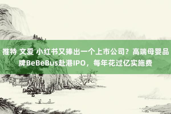 推特 文爱 小红书又捧出一个上市公司？高端母婴品牌BeBeBus赴港IPO，每年花过亿实施费