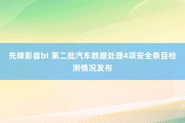 先锋影音bt 第二批汽车数据处理4项安全条目检测情况发布