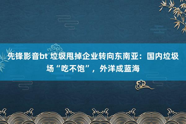 先锋影音bt 垃圾甩掉企业转向东南亚：国内垃圾场“吃不饱”，外洋成蓝海