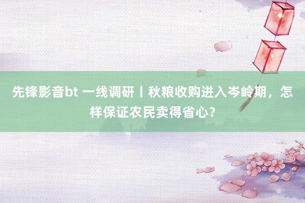 先锋影音bt 一线调研丨秋粮收购进入岑岭期，怎样保证农民卖得省心？