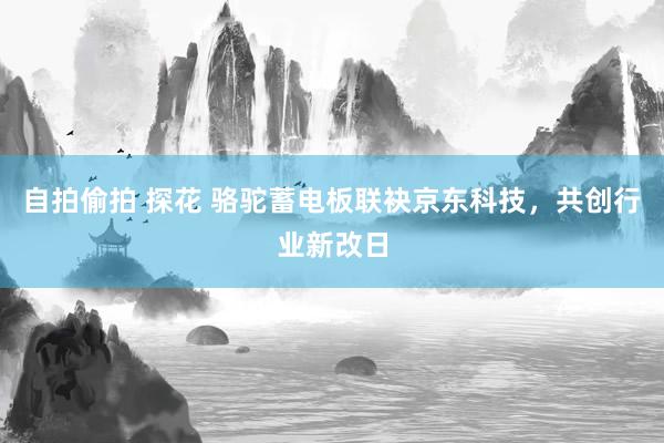 自拍偷拍 探花 骆驼蓄电板联袂京东科技，共创行业新改日