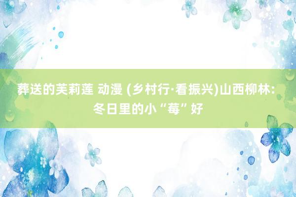 葬送的芙莉莲 动漫 (乡村行·看振兴)山西柳林: 冬日里的小“莓”好