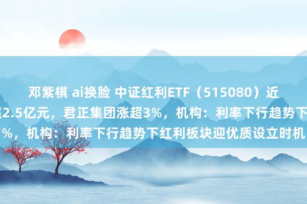 邓紫棋 ai换脸 中证红利ETF（515080）近5个往改日累计“吸金”超2.5亿元，君正集团涨超3%，机构：利率下行趋势下红利板块迎优质设立时机