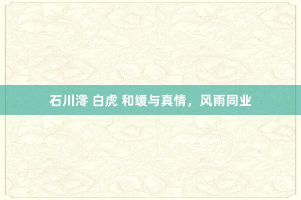 石川澪 白虎 和缓与真情，风雨同业
