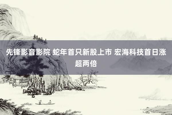 先锋影音影院 蛇年首只新股上市 宏海科技首日涨超两倍