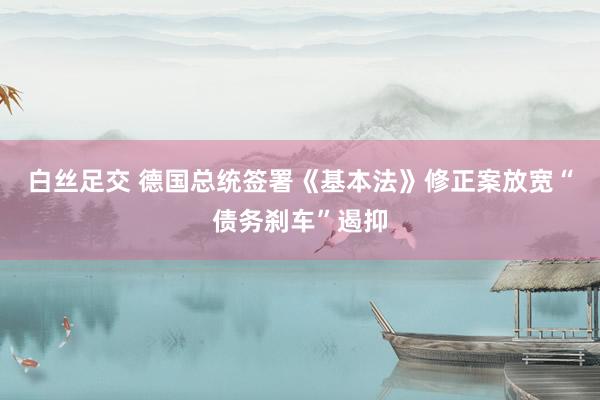白丝足交 德国总统签署《基本法》修正案放宽“债务刹车”遏抑